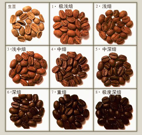 烘焙度不同的咖啡豆有啥区别