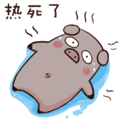 240_240gif 动态图 动图