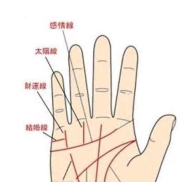 解读无名指与食指断掌的奥秘!-搜狐大视野-搜狐新闻