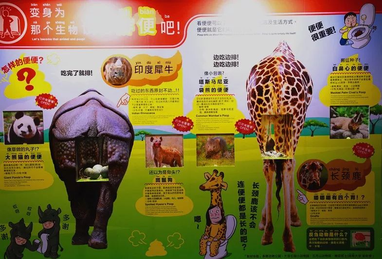 「 move 生物体验展」全球巡游上海站