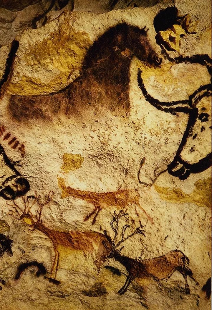 外星人藏在哪里