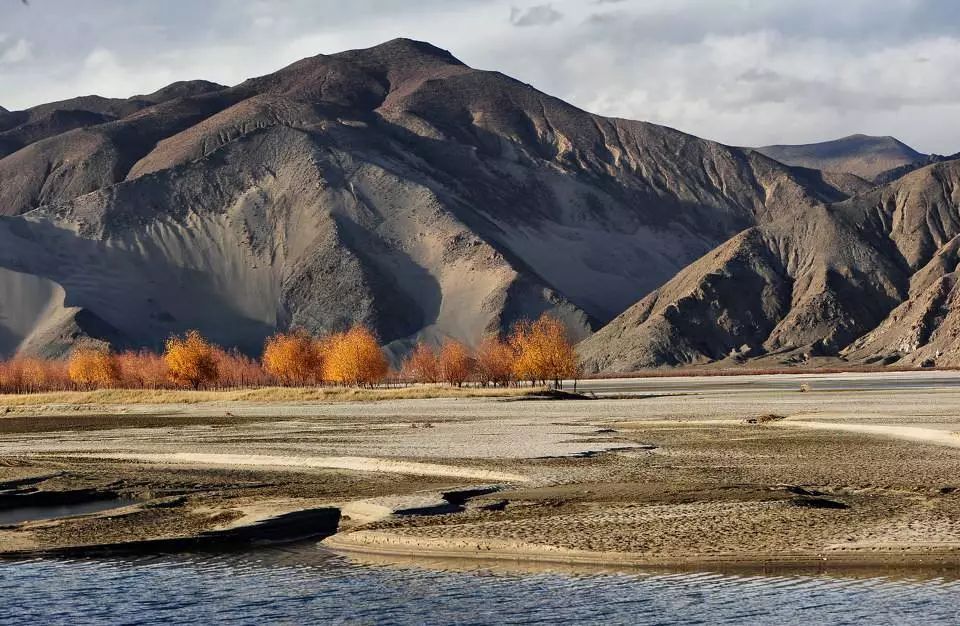 2018级6班卓玛群宗/丹贞宗杰/罗珍暑期社会实践活动笔记故乡读万卷书