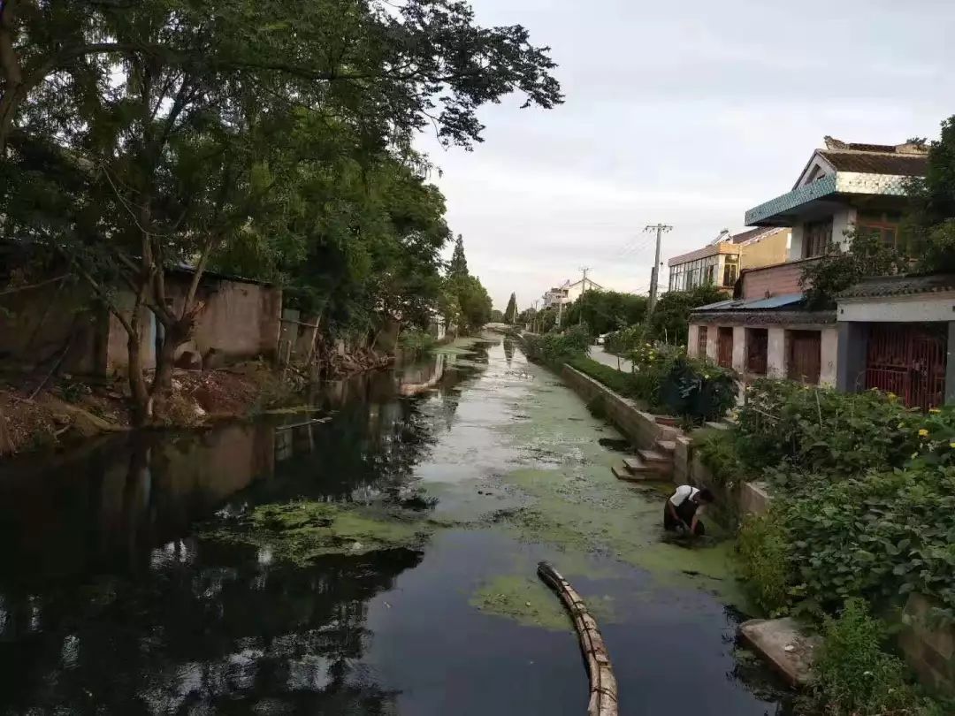 今日头条给力区镇农村人居环境整治再发动再行动