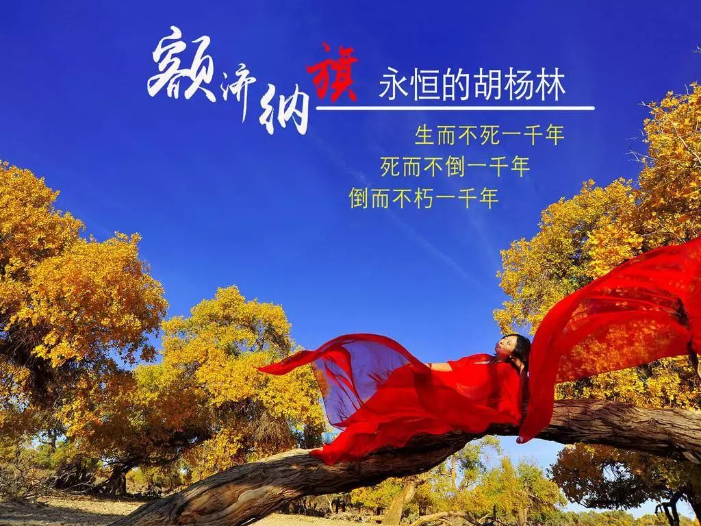 买云南旅行意外险 旅游意外险是强制的吗