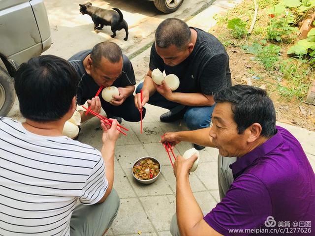 洛阳新安庙头有鸡图片