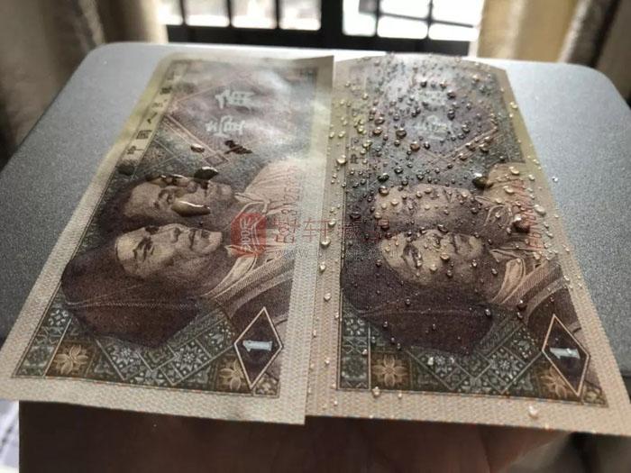 8001新品种:半塑小龙钞鉴赏