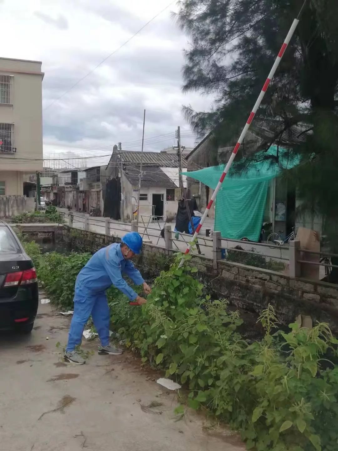 关于台风白鹿说一些你可能不知道的事