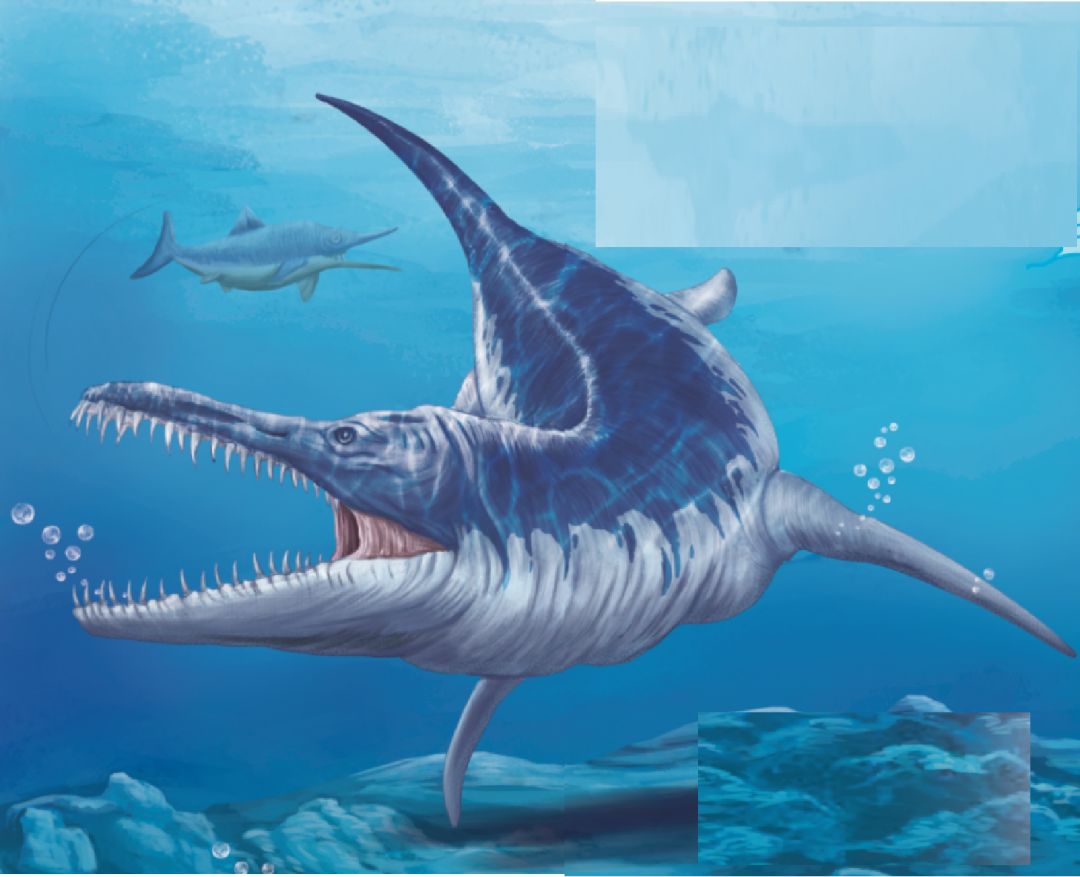 海洋科普838已经灭绝的海中狠角色滑齿龙