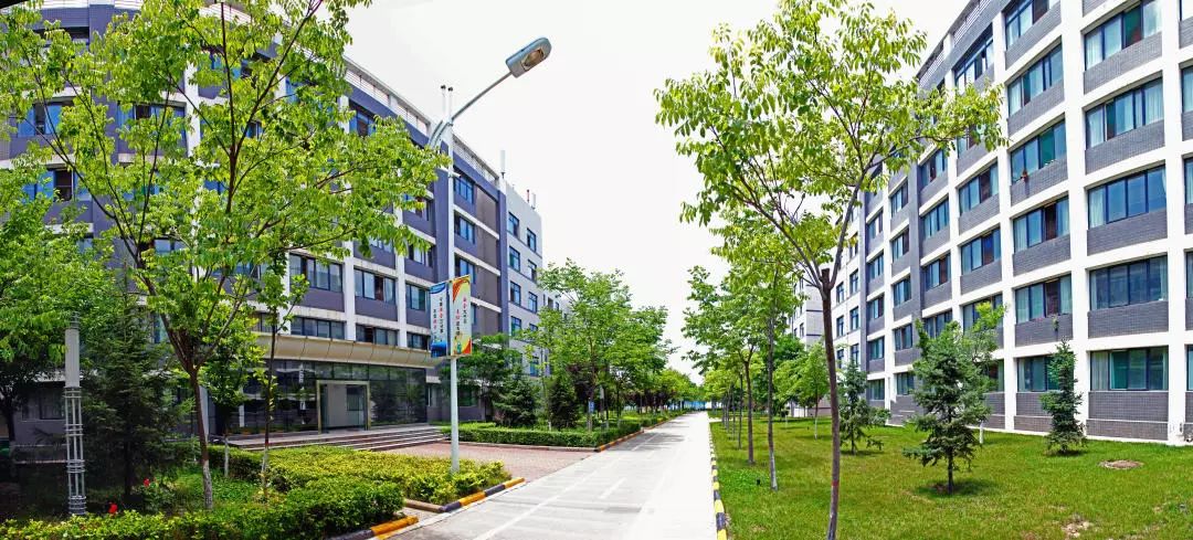 让不忘初心牢记使命主题教育落地生根崔木煤矿22303工作面安装工作