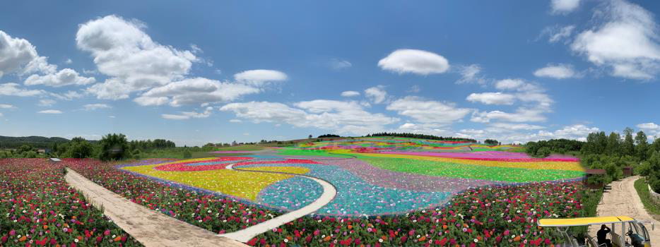 2019中国长春莲花山"花开大地阡陌间,献礼祖国70年"大型主题花海