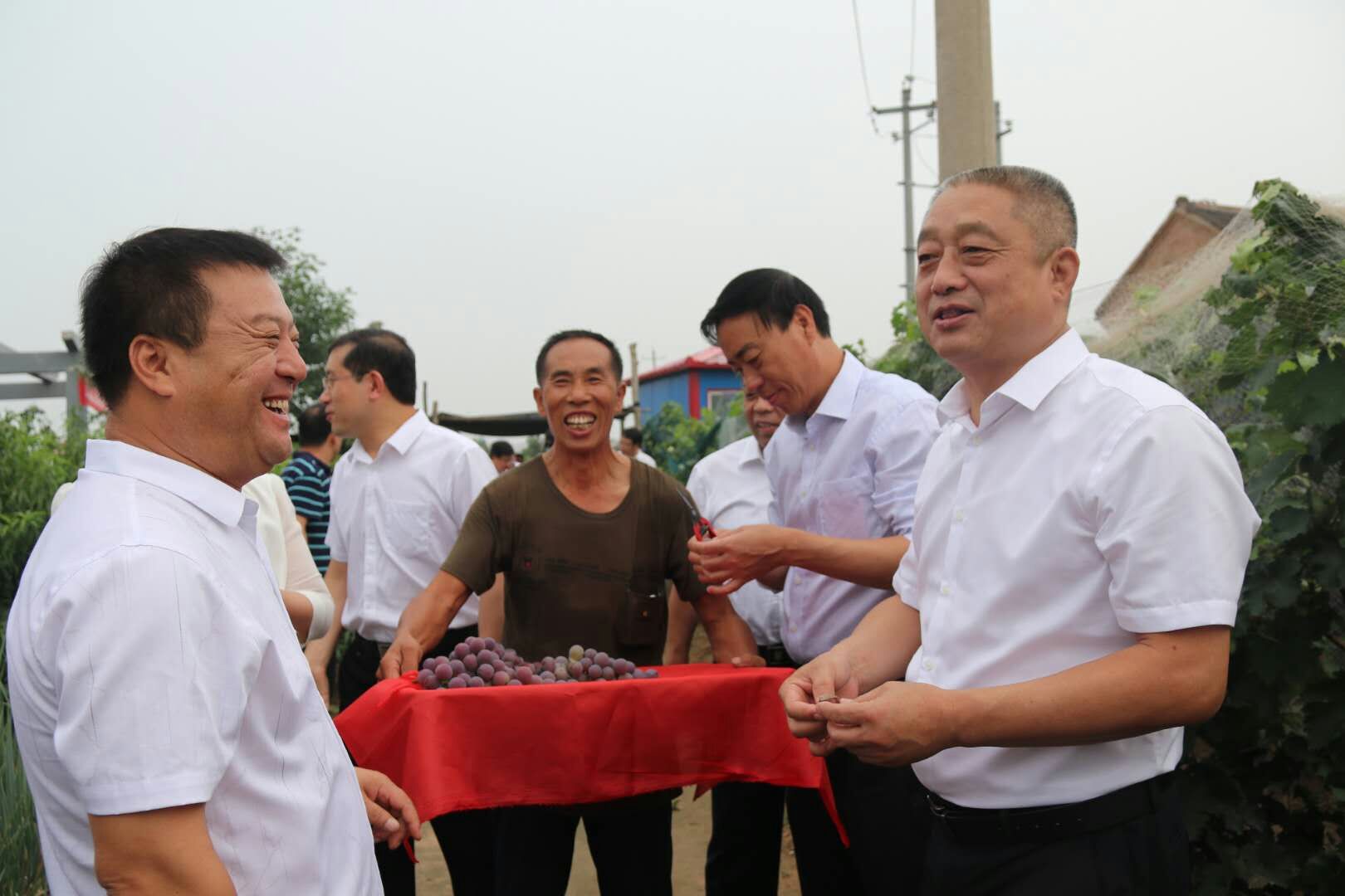 常委,区委书记陈纲,区领导吴勇,杨午生,郭忠义,薛向阳,任丽岗,任伟民