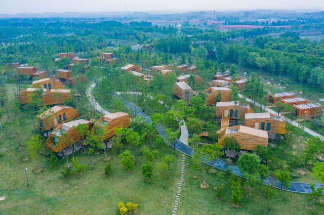 金秋百万游客游宿迁暨三台山衲田花海音乐季重磅来袭