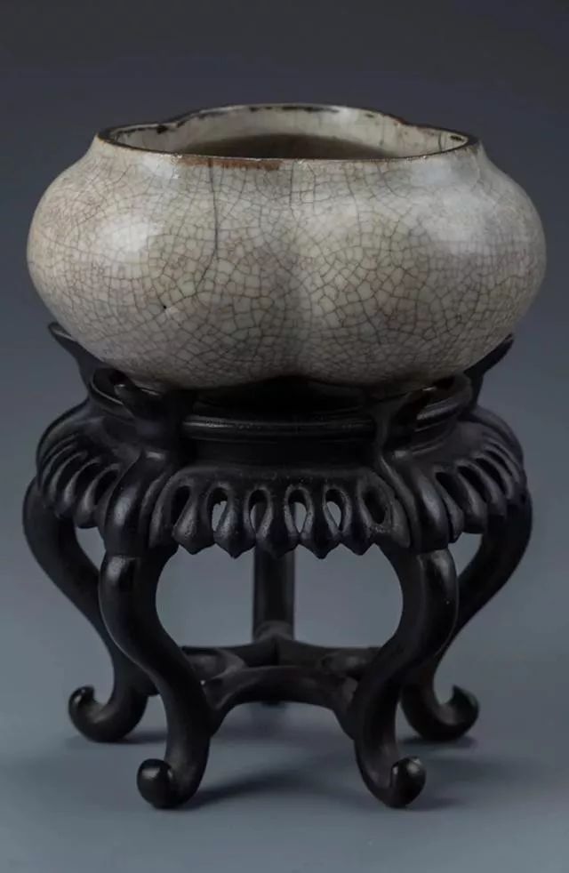 人物| "乐呵乐呵得了"是一种什么样的生活态度:张建云谈杨议