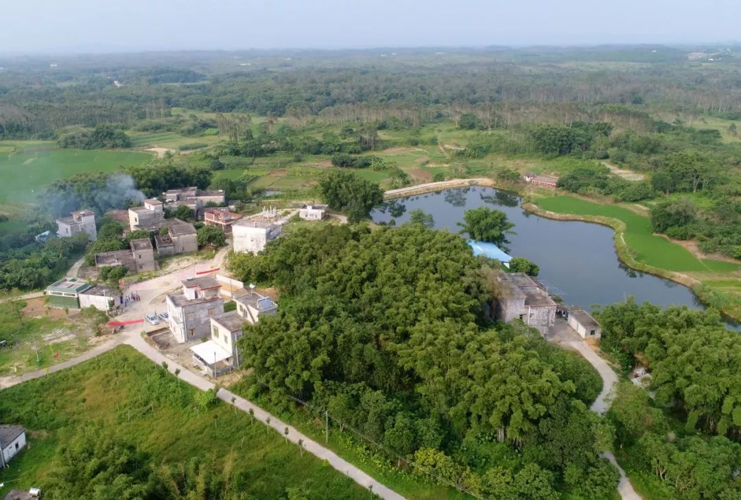 8月23日,记者来到埠场镇那蓬村蓬山自然村.