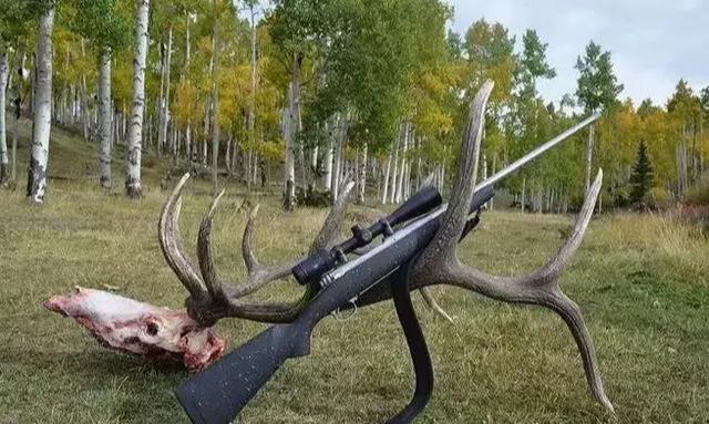 老猎人心目中的完美全能猎枪栓式步枪