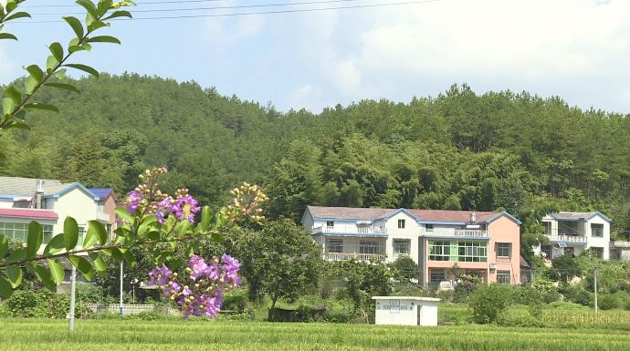 点赞罗田匡河镇兴建小厕所改善大民生