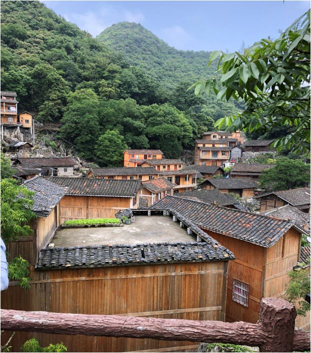 帮扶故事海归博士倾情帮扶用实干践行健康扶贫路记隆林各族自治县人民