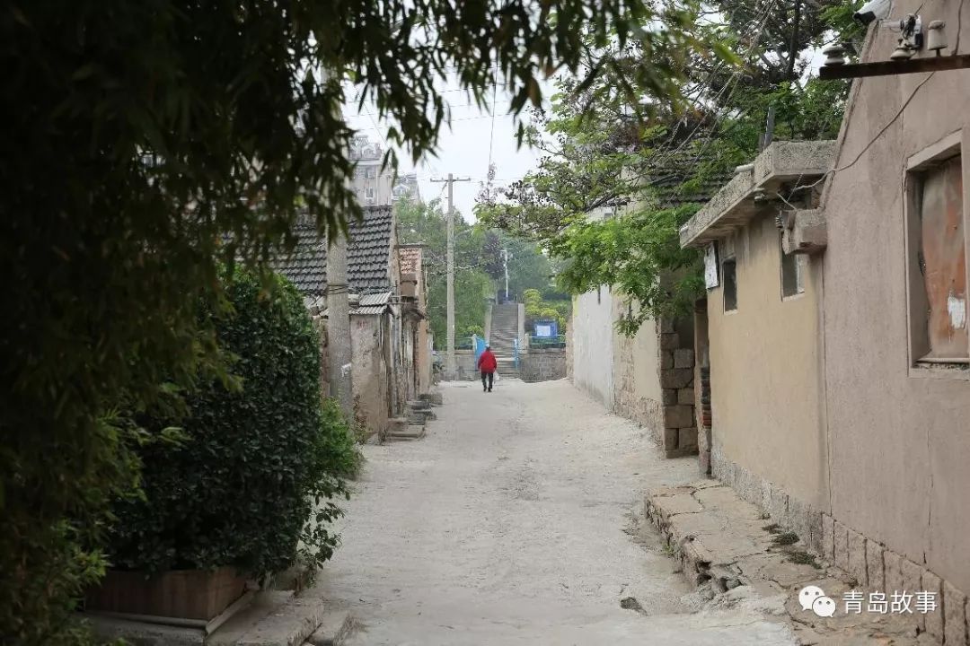 我与板桥坊村的故事