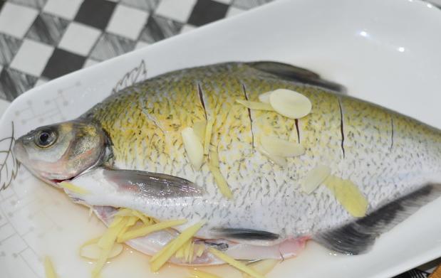 清蒸鳊鱼营养又健康的鱼肉让生活更有滋味