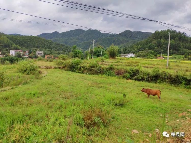 山路十八弯,志愿敬老行!长洛乡敬老院关爱活动纪实