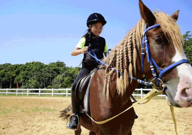 心行天下研学营少年骑兵独立成长马上开始