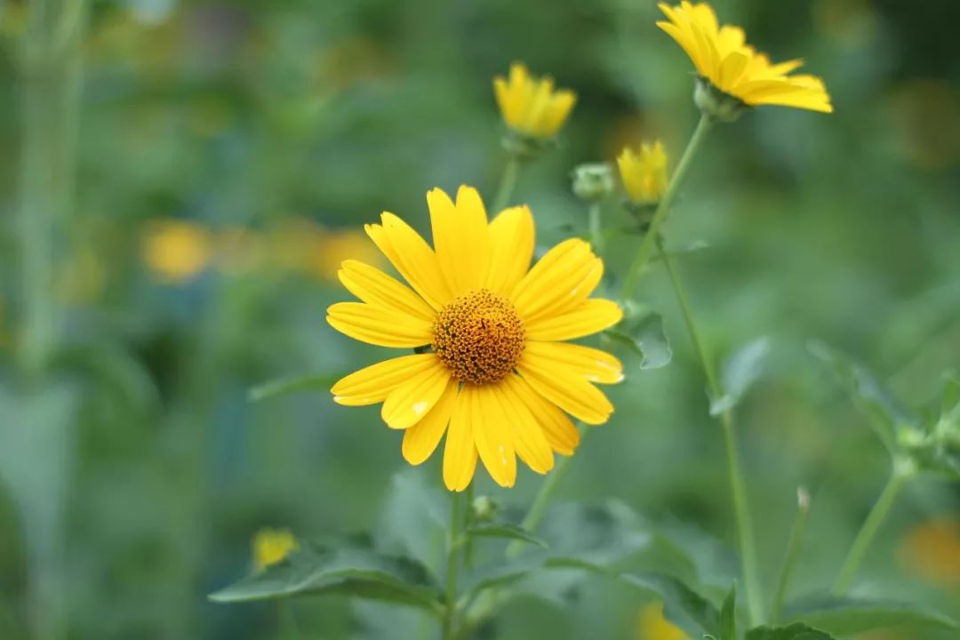 赏读带着好心情过好每一天