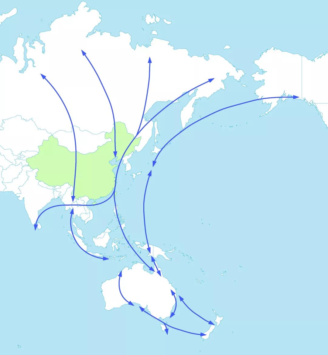 候鸟迁徙路线地图图片