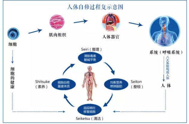 不是医生无能,预防才是根本!_人体