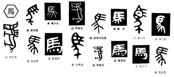 5播放平台:央视网推荐理由:中国汉字文化博大精深,源远流长.