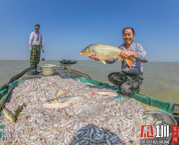 捕捞鱼图片,捞鱼图片大全,打捞鱼的图片(第4页)_大山谷图库
