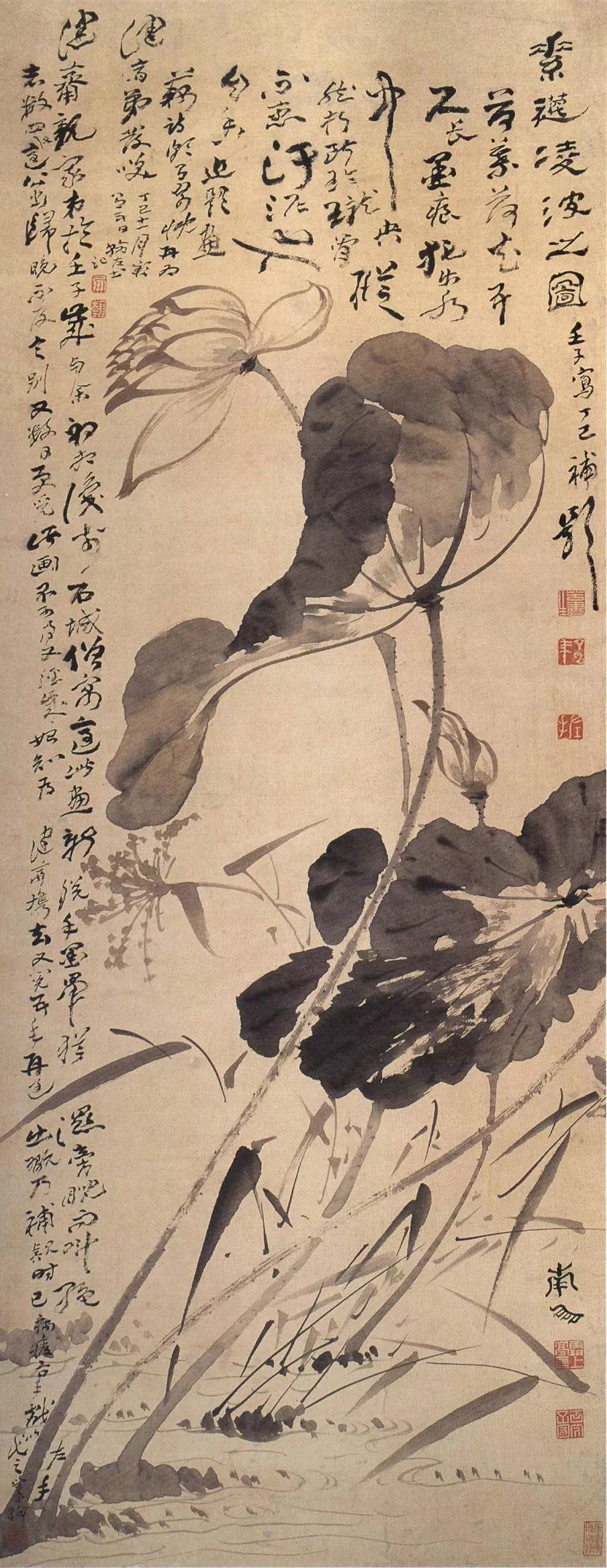 赏画清高凤翰左手画荷花图