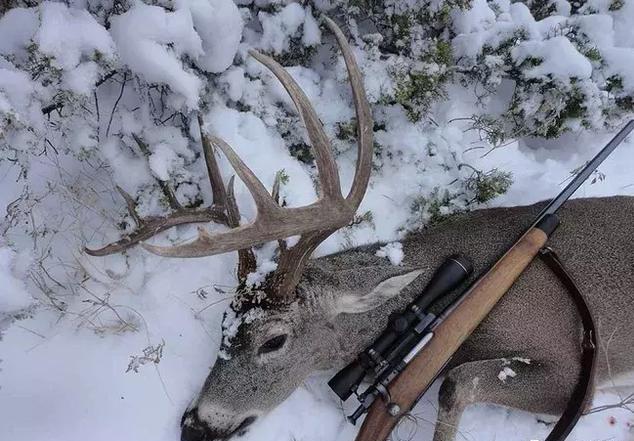 老猎人心目中的完美全能猎枪栓式步枪