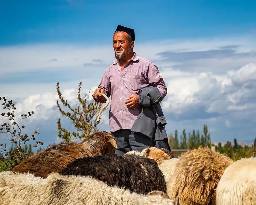 你是砍柴的,他是放羊的,你和他聊了一天,他的羊吃饱了,你的柴呢?