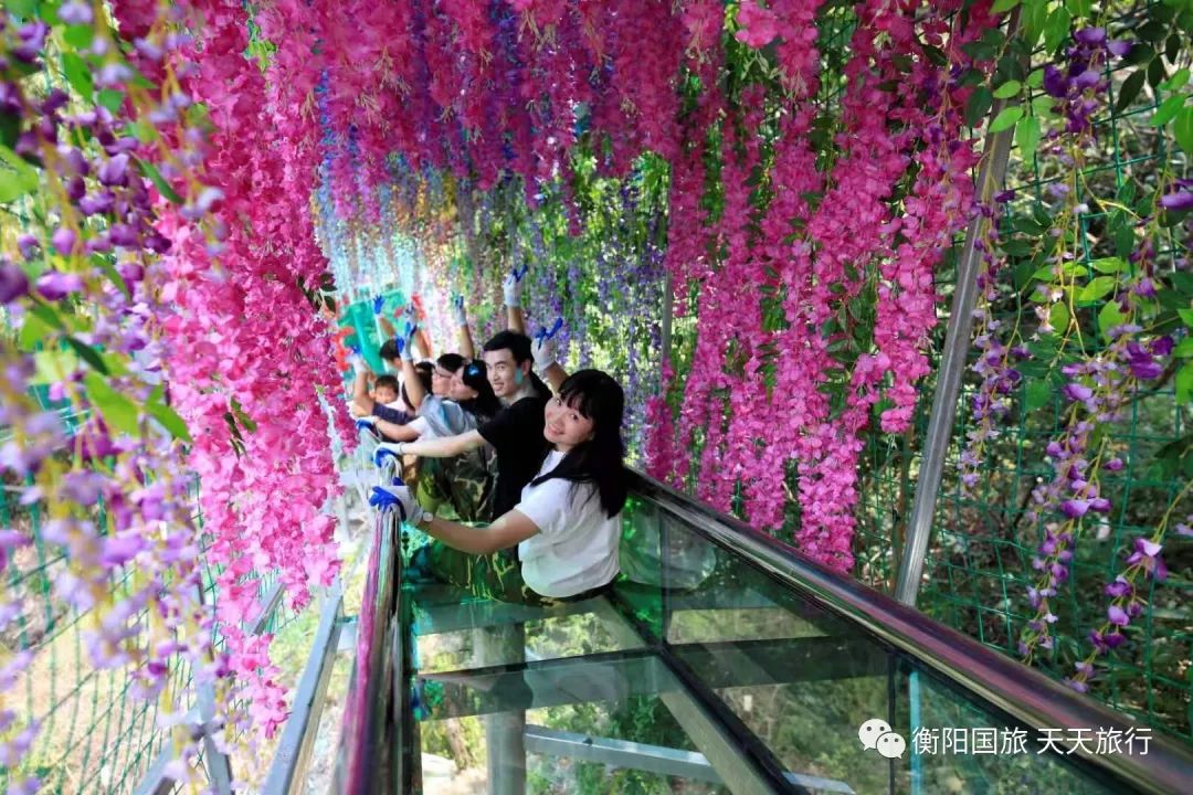 周洛大峡谷尖叫森林全玻璃彩虹滑道鸳鸯瀑布月亮潭汽车一日游