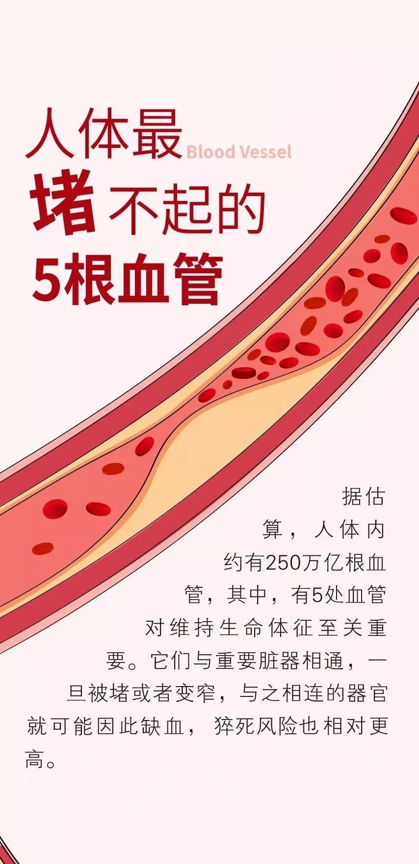 【健康】5根血管堵了会要命!疏通牢记8个数字