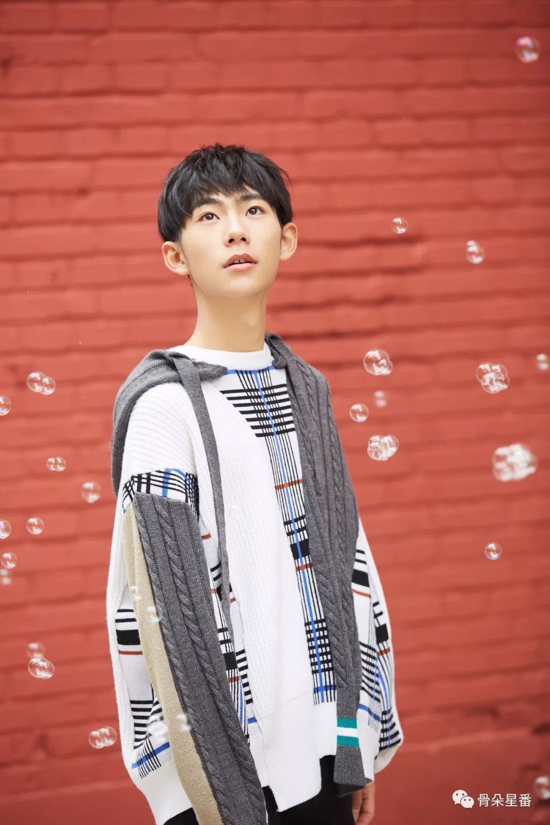 王家祎 来自搜狐网