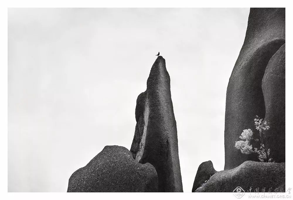 第十二届中国摄影金像奖董冬奇境缘之空山