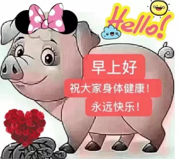 2019早上好表情動態圖片帶字和鮮花早上好問候祝福動態圖片