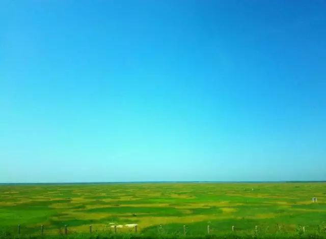 魅力四射的松嫩平原我们迎接肇东走进新时代