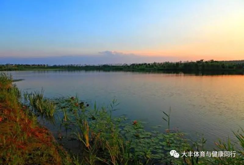 【大豐區東方溼地公園】終點設在大豐區東方溼地公園南門.