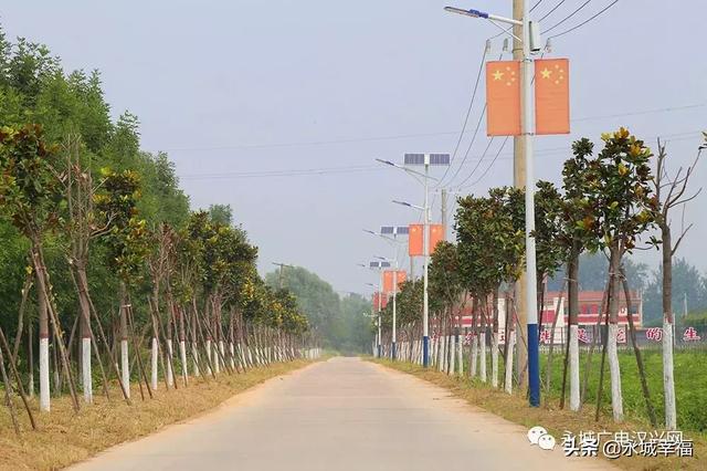 河南永城刘河镇图片