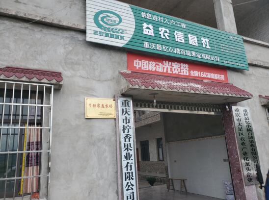 大足加快益农信息社建设领先步入数字乡村时代