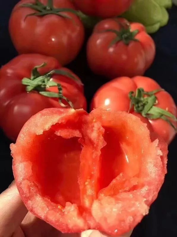 今日推荐粉红番茄粉红皮薄瓤沙汁多小时候的味道