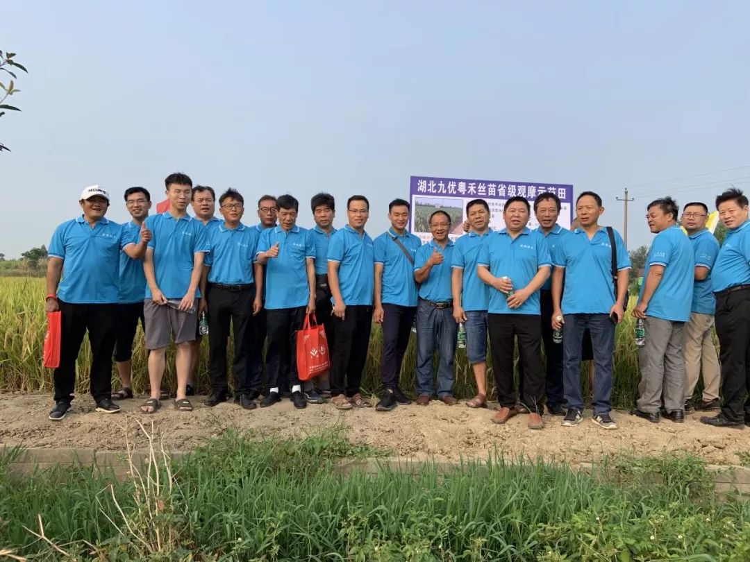 20192020年度湖北省九优粤禾丝苗新品种观摩暨发布会成功召开