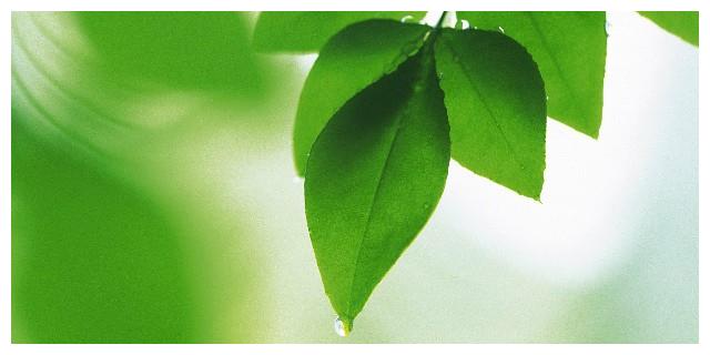 12生肖中,善于把钱窝在手中的3大生肖,中年之后,财富花不完_财运