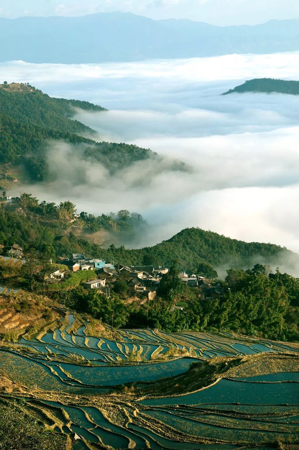 9月23日元江羊街喍奢扎节亮相中国农民丰收节直播