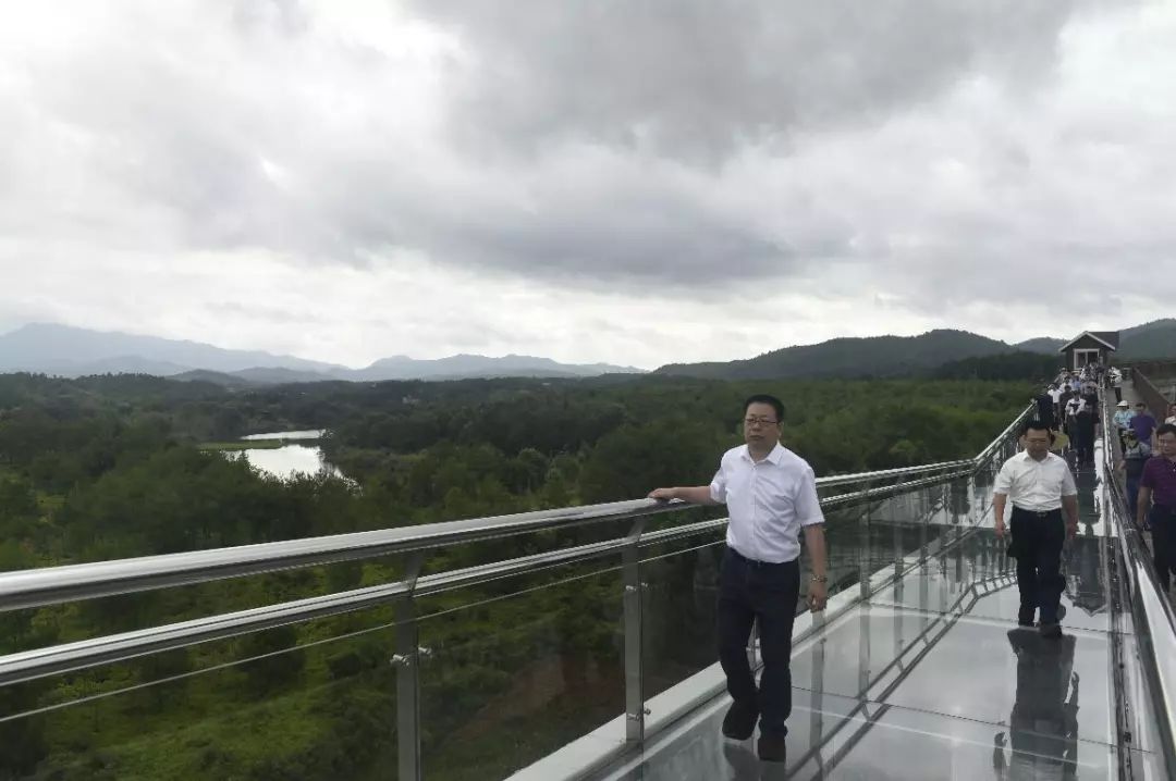 省林业局局长陈照瑜出席会议,省委第十二巡回指导组组长叶木凯到会