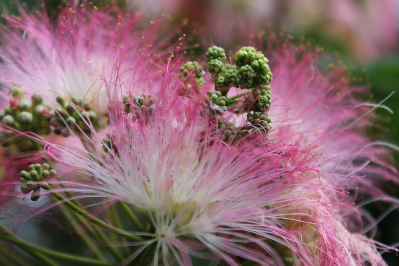 原创9月开始好运来鸿运当头财运旺上天财源八方来的属相