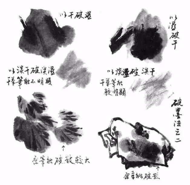 【国画教程】写意花鸟画笔墨技法详解:墨法_变化