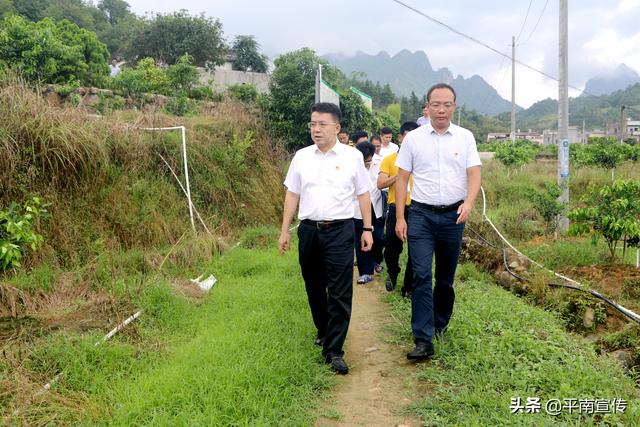 个人缴纳社保 陈福华社保